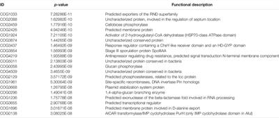 The Gut Microbiota in Liver Transplantation Recipients During the Perioperative Period